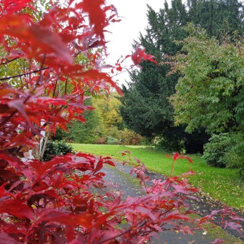 Whitchester Christian Centre Hawick Luaran gambar